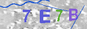 CAPTCHA Image