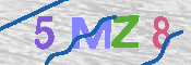 CAPTCHA Image